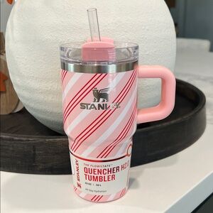 💗Super Cute 20oz STANLEY...